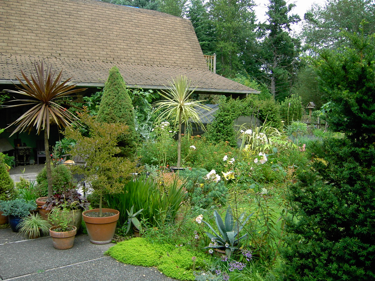 Specialty plants around our display garden
